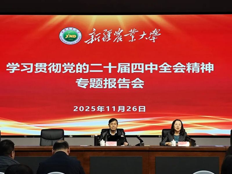 马克思主义学院举办学习贯彻党的...