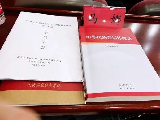 马克思主义学院扎实开展《中华民...